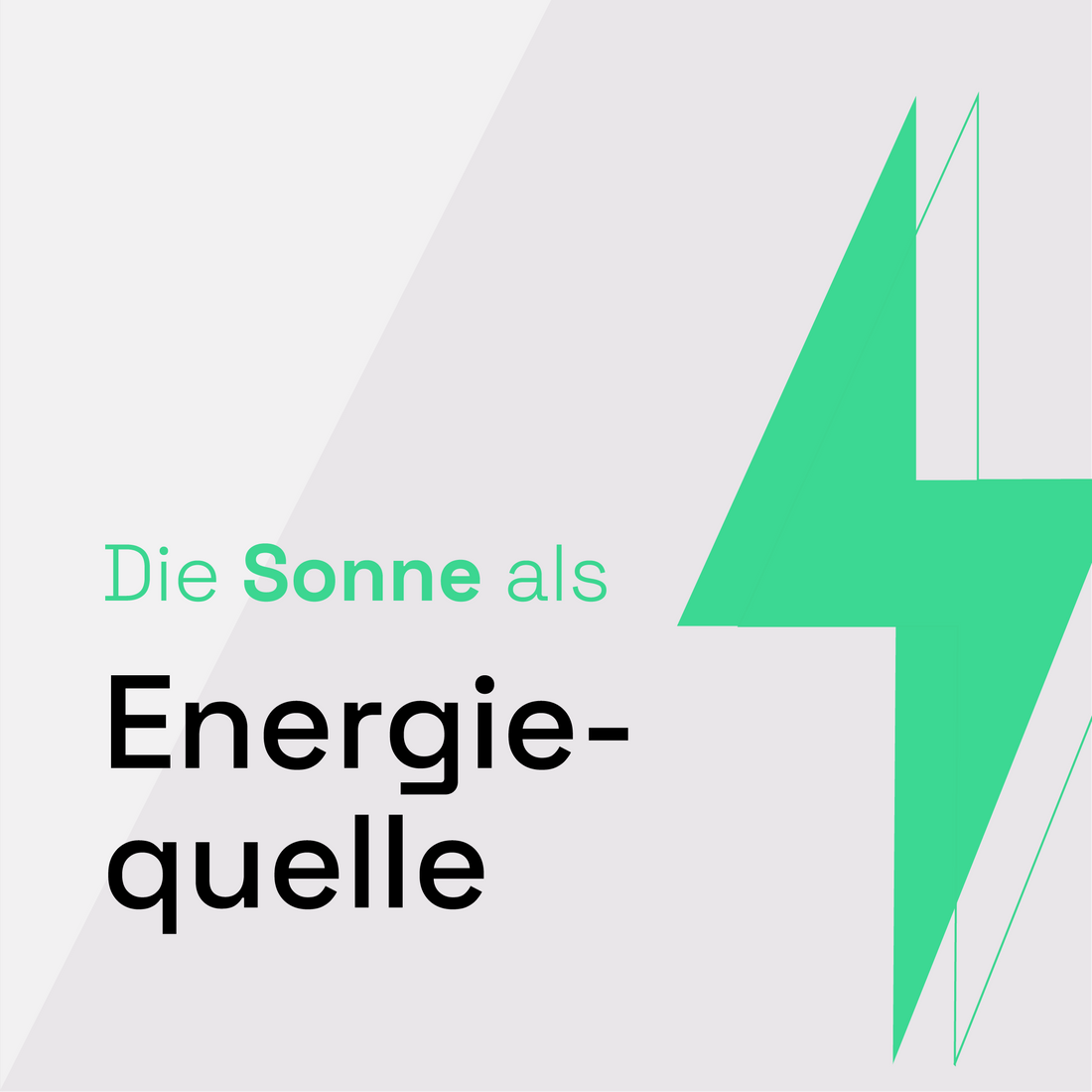 Netzgrün_webseite_start_Zeichenfläche 1 Kopie