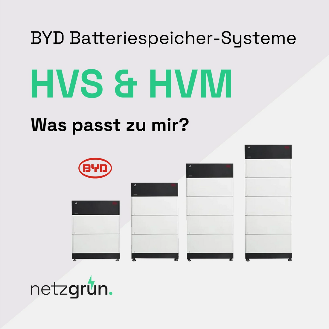 Netzgrün_webseite_start_Zeichenfläche 1